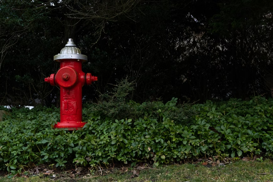 Fire hydrant on parkway